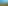 African Brush
